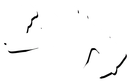 DART logo
