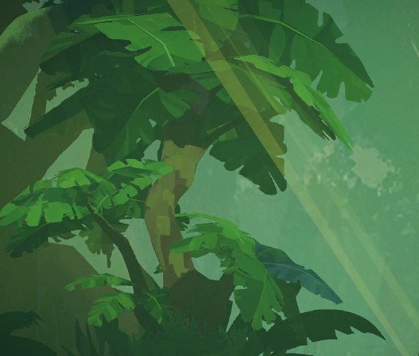 Forest A