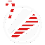 ESL Xmas selection icon